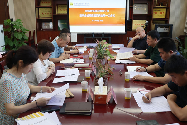 公司召開董事會戰略規劃委員會第一次會議