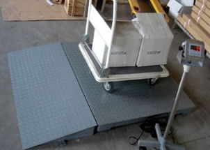 專業直供 1噸、2噸、3噸電子地磅與配套網絡技術服務，一站式解決方案